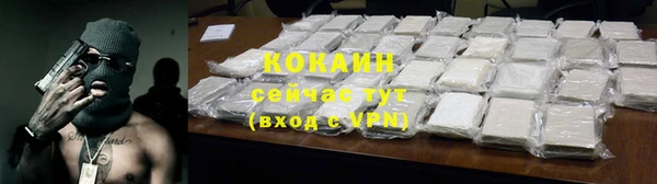 прущие грибы Армянск