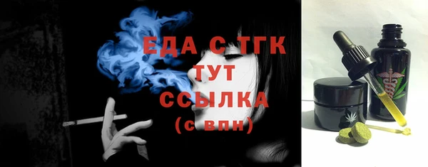 хмурый Арсеньев