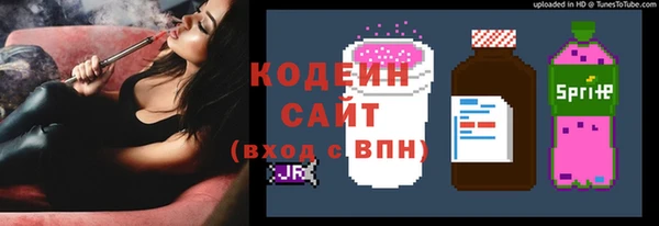 хмурый Арсеньев