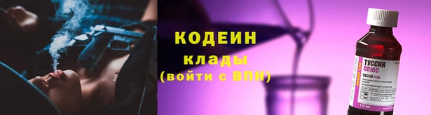 прущие грибы Армянск