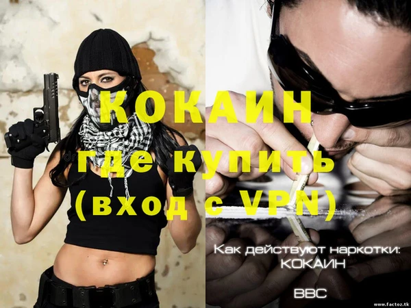 хмурый Арсеньев