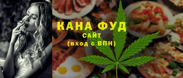 хмурый Арсеньев