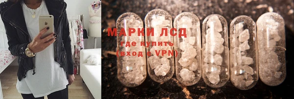 хмурый Арсеньев