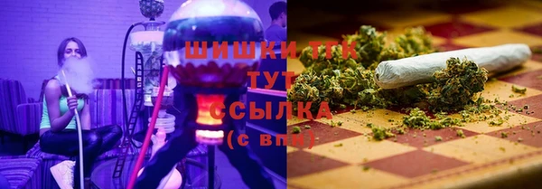 прущие грибы Армянск
